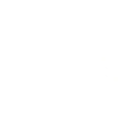 FINS White Logo